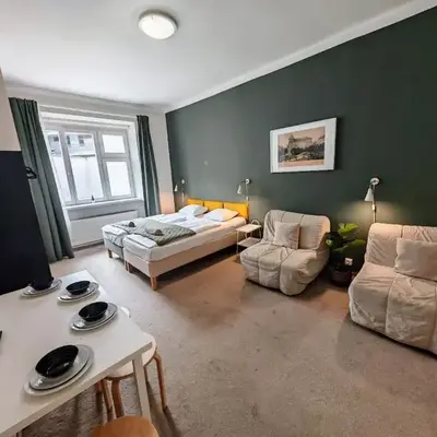 Apartment in Zizkov -301-