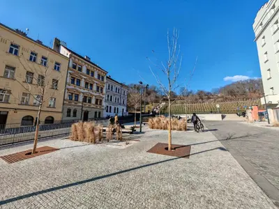 a group of trees in the middle of a street at Flat in Zizkov with free underground parking -501- in Prague