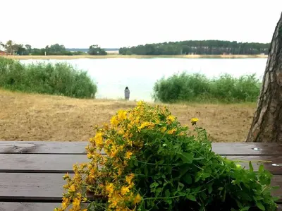 a pot of yellow flowers on a wooden bench near the water at Okouzlující vila u jezera Lhota in Lhota