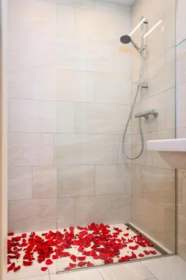 a shower with red rose petals on the floor at Brilliant Deluxe Suite in Prague