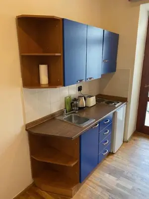 a small kitchen with blue cabinets and a sink at Vitkova apartment with balcony in Prague