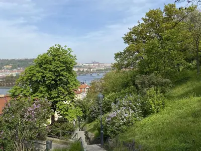 a view of a river from a hill with trees at Apartment Old Town home-3 by Interhome in Prague