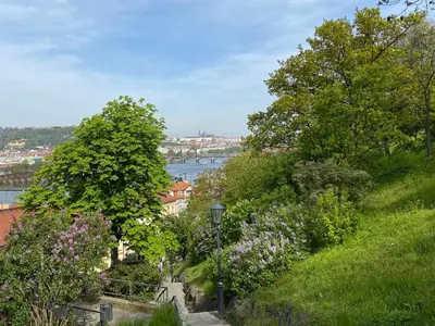 a view of a river from a hill with trees and flowers at Apartment Manes Residence by Interhome in Prague