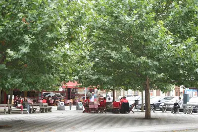 a tree on a sidewalk with people sitting under it at Apartment Marilyn in Prague