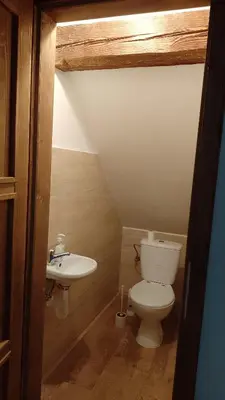 a bathroom with a toilet and a sink at Ubytování Ždírec - Apartmán 2 in Ždírec