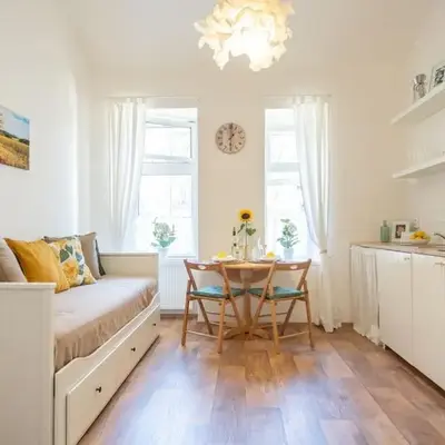 Nice one bedroom apartment in zizkov
