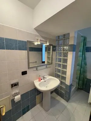 a bathroom with a sink and a shower at Cosy Studio with terrace near Florenc in Prague