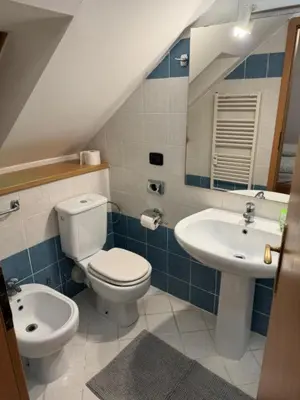 a bathroom with a toilet and a sink at Cool Duplex with terrace near Florenc in Prague