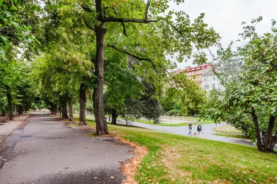 a park with trees and people walking down a road at Blueground Prague 2 furnished Náměstí Míru PRG-44 in Prague