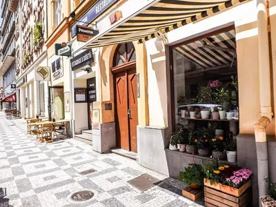an empty street with a shop with flowers and plants at Letenský pokoj Milada E2 in Prague