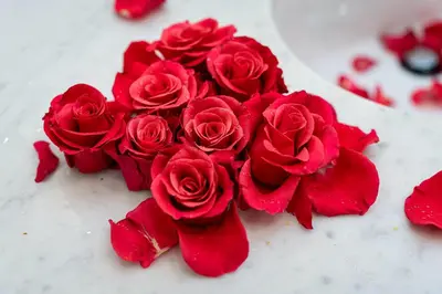 a bunch of red roses sitting on a table at Big Cat Residence in Prague