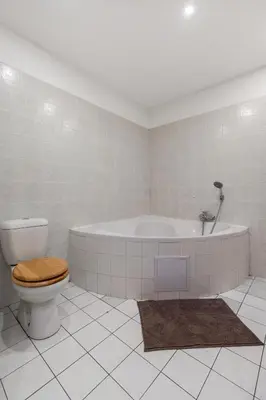 a bathroom with a toilet and a bath tub at Royal Prague Gallery in Prague