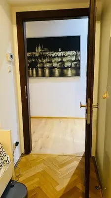 an open door to a room with a painting on the wall at Luxus room in Prague 2 Square in Prague