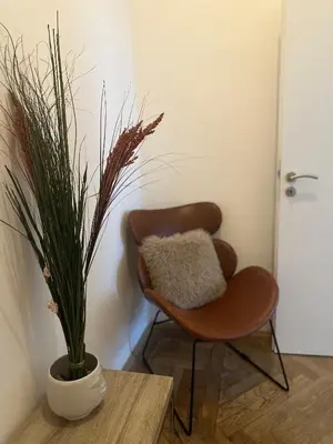 a chair and a potted plant in a room at Apartment Skorepka 4 in Prague