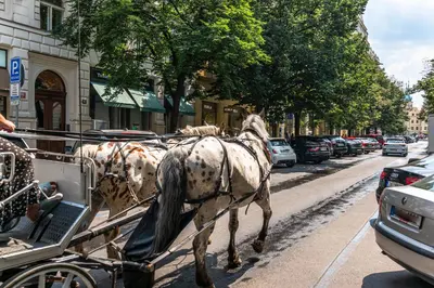 a horse pulling a carriage on a city street at Wishlist Prague Residences - Old Town Bilkova in Prague
