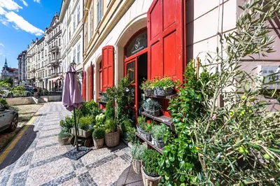 a store with red doors and potted plants on a street at Wishlist Prague Residences - Old Town Dlouha in Prague
