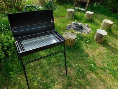 a black grill sitting in the grass next to some logs at Studio Boroví in Karlštejn
